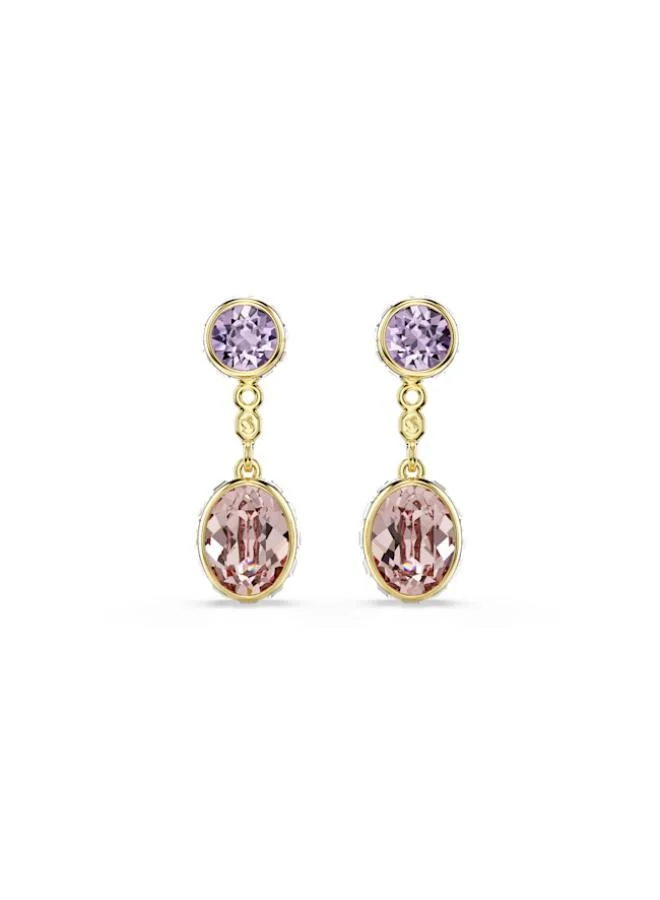 SWAROVSKI  Chroma Gold Tone Plated Versatile Stud Earrings for Women | Best Price UAE